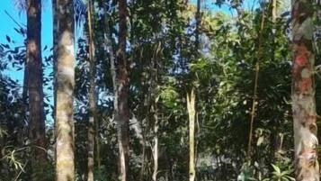 Room, Resort View, Mountainside | Terrace/patio