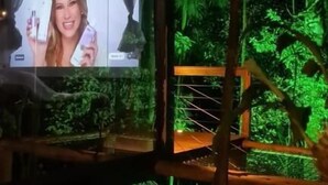 A room with a large screen displaying a person, surrounded by lush green foliage. - Tree House (Marechal Floriano)