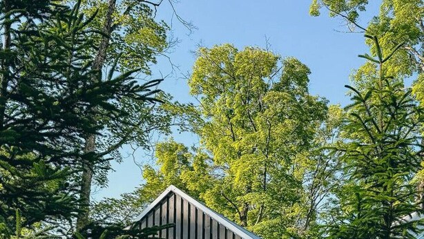 Una cabaña de madera moderna con techo inclinado, rodeada de un bosque denso.