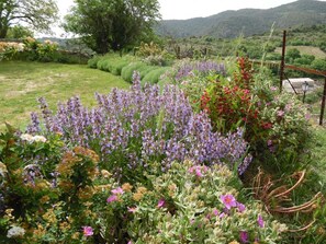 A garden with various flowering plants and a fenced area. - Justine Oustalet (MONTGAILLARD)