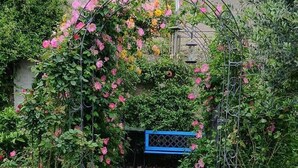 A garden with a metal archway covered in pink roses, a blue gate, and a stone pathway. - Sous les Toits - Sauna & Balneotherapy (Canet D Aude)