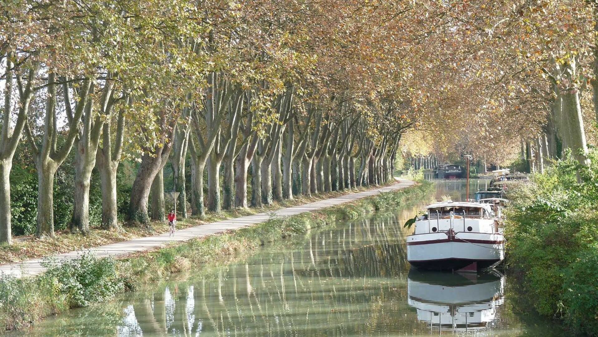 A narrow waterway flanked by tall trees with a boat docked on the right.