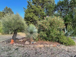 Property grounds - Domaine de Dougados 1481 (SAINTE EULALIE)