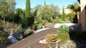 Un jardin aménagé avec une terrasse en bois, divers arbustes et un grand conifère.