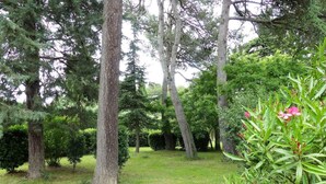 Un jardin bien entretenu, avec de grands arbres et une grande variété d’arbustes.