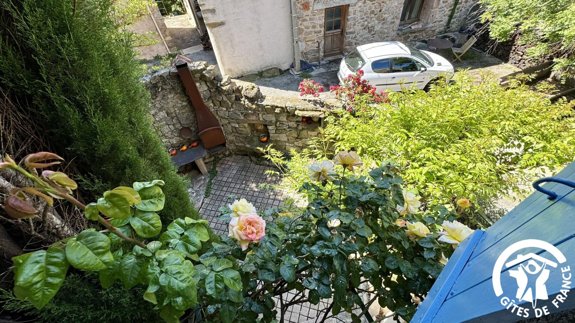 A garden with roses, a stone wall, and a parked car.