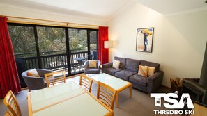 Fireplace - Mowamba E6 - Central Village (Thredbo)