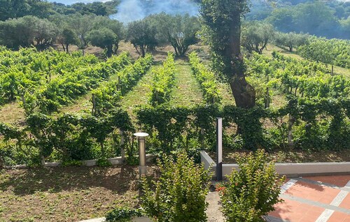 Awesome home in Montefiascone