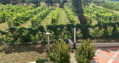 Awesome home in Montefiascone