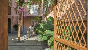 A narrow pathway flanked by large green plants and a wooden lattice fence. - Express by M Village Nam Ky Khoi Nghia, a brand of Modern Village Lifestyle (Ho Chi Minh City)