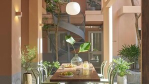 A dining area with a long table, chairs, and potted plants. There is a hanging light fixture above the table. - Express by M Village Nam Ky Khoi Nghia, a brand of Modern Village Lifestyle (Ho Chi Minh City)