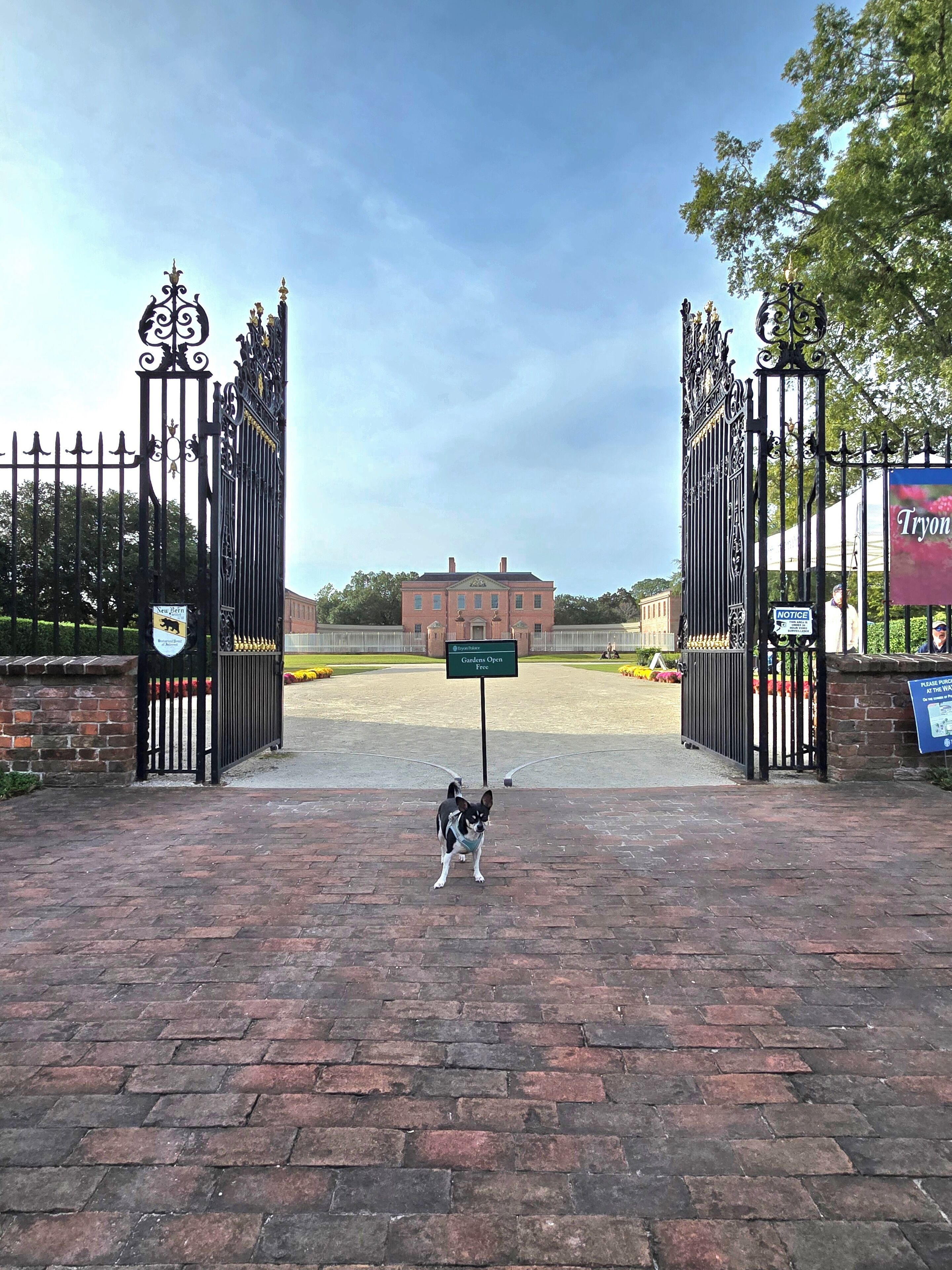 A dog standing in front of a gated entrance with a sign that reads "Gardens Open Free."