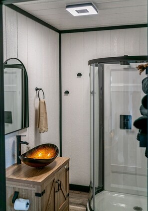 Shower, hair dryer, towels