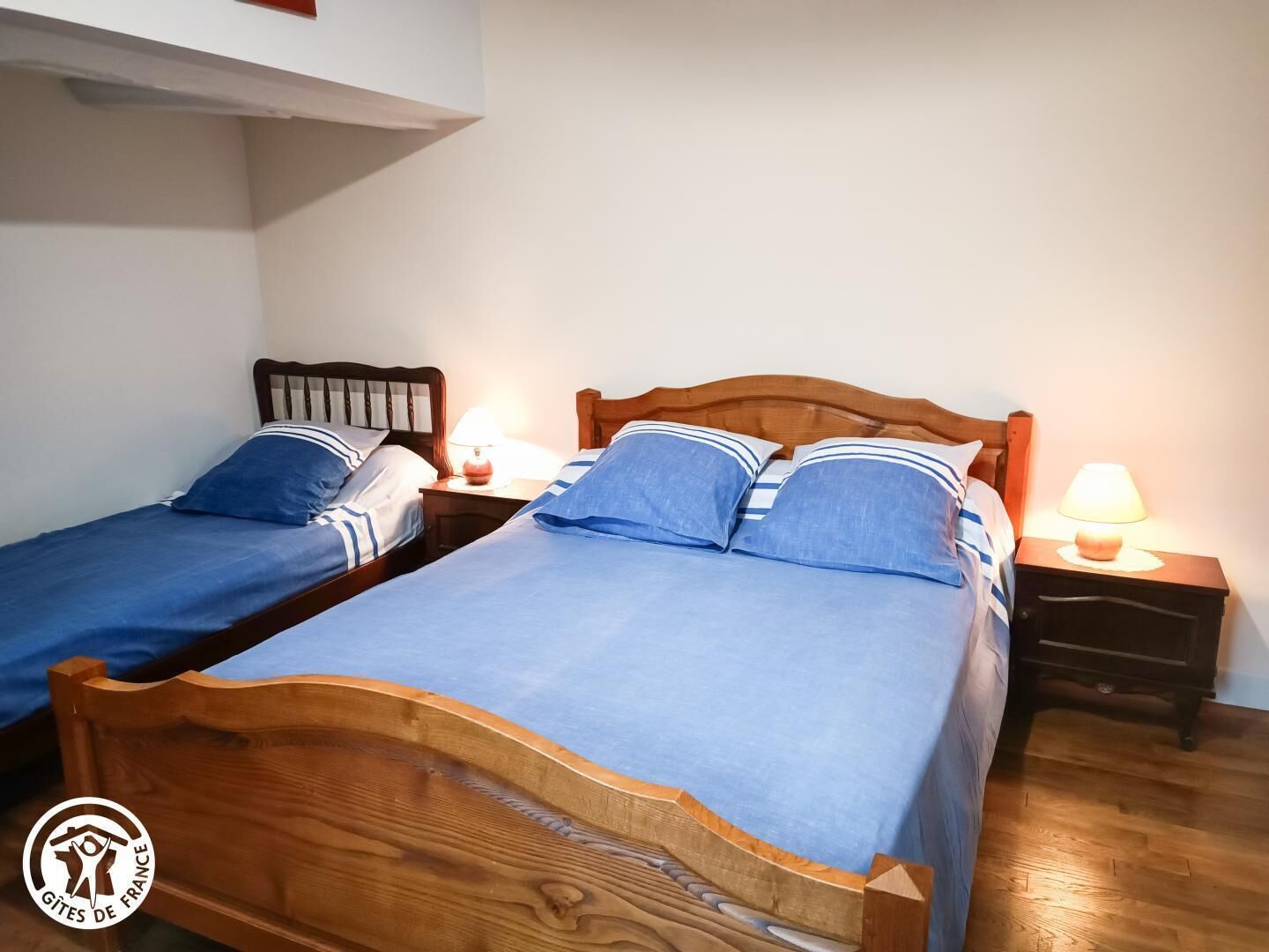 A room with two wooden beds, each with a nightstand and a lamp.