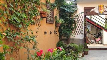 Un patio con escaleras, plantas en macetas y una pared cubierta de plantas trepadoras.