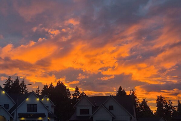 A residential area with houses and trees during sunset. - Brand New Suite Close to Mt. Washington, Cumberland Bike Trails and the Ocean. (Royston)