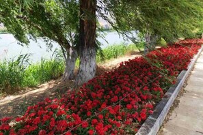 المنطقة المحيطة بالمنشأة