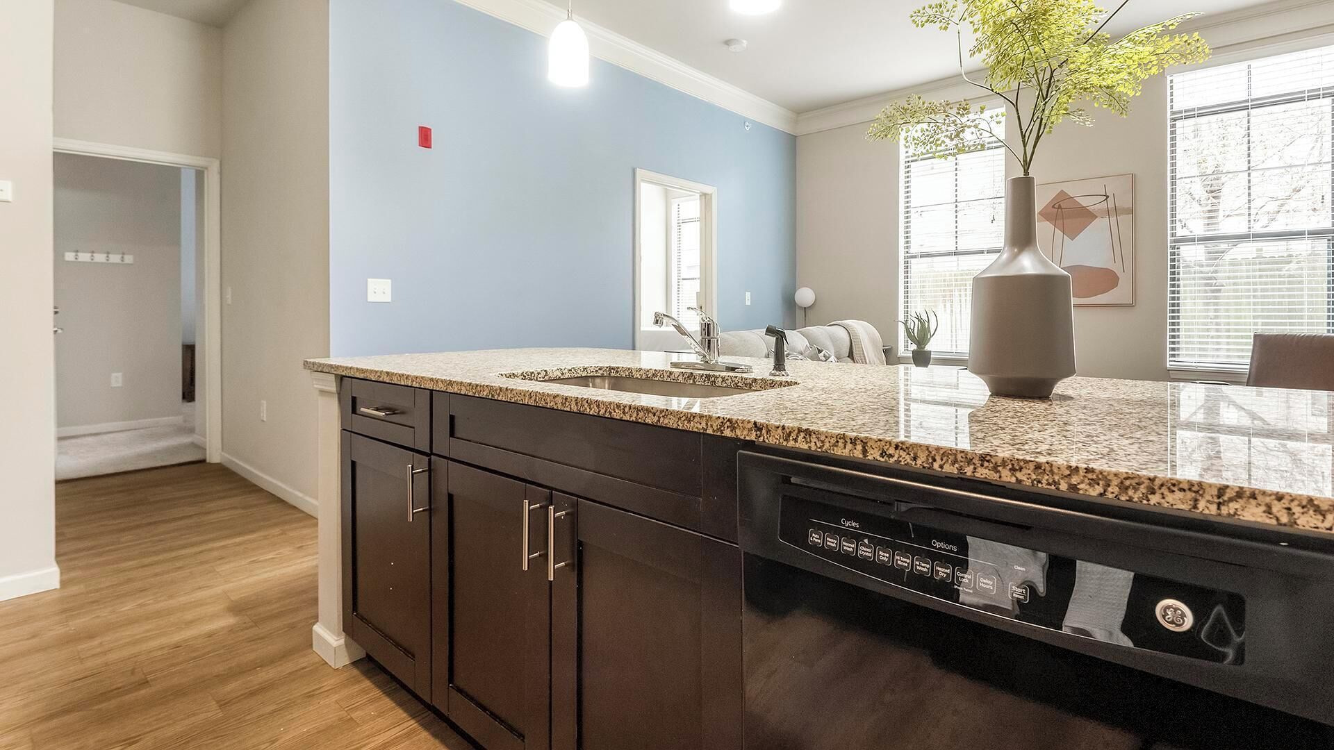 A kitchen with dark cabinets, granite countertops, and a dishwasher.