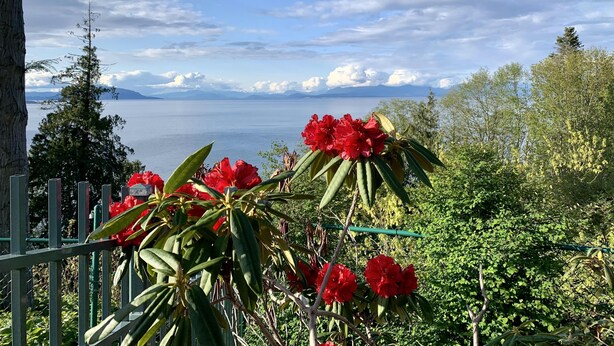 Un jardin agrémenté de fleurs rouges, avec une vue sur un lac et des montagnes en arrière-plan.