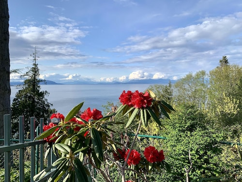 Woke Up at the Edge of the Pacific- Private Room with Free Parking in Nanaimo