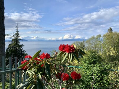 Woke Up at the Edge of the Pacific- Private Room with Free Parking in Nanaimo