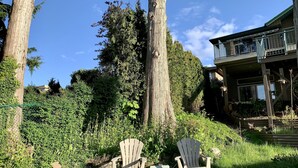 Deux fauteuils Adirondack sont placés dans un espace verdoyant, entouré de grands arbres, et un bâtiment doté d’un balcon se trouve à l’arrière-plan.
