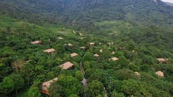 A rural village with thatched-roof houses surrounded by dense greenery and hills.