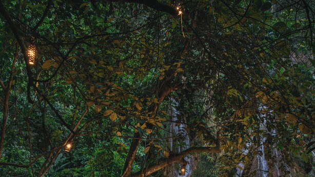 An outdoor dining area with wooden tables and chairs, surrounded by trees and a waterfall. - Avana Retreat (Bao La)
