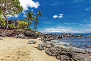 Beach nearby - 1bd serenity, sea turtles and sunsets (Honokowai)