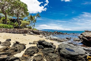 Beach nearby - 1bd serenity, sea turtles and sunsets (Honokowai)