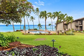Property grounds - 1bd serenity, sea turtles and sunsets (Honokowai)