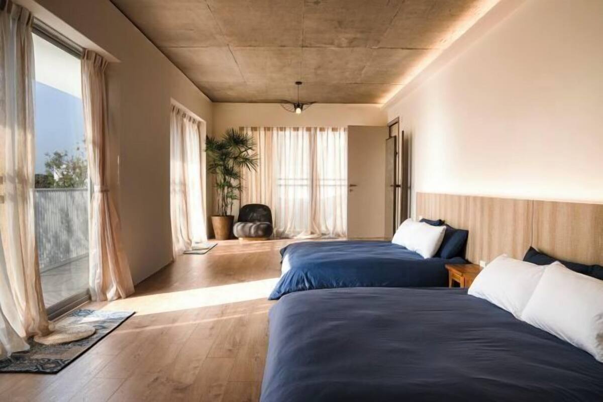 A bedroom with two beds, a large window, and a potted plant.