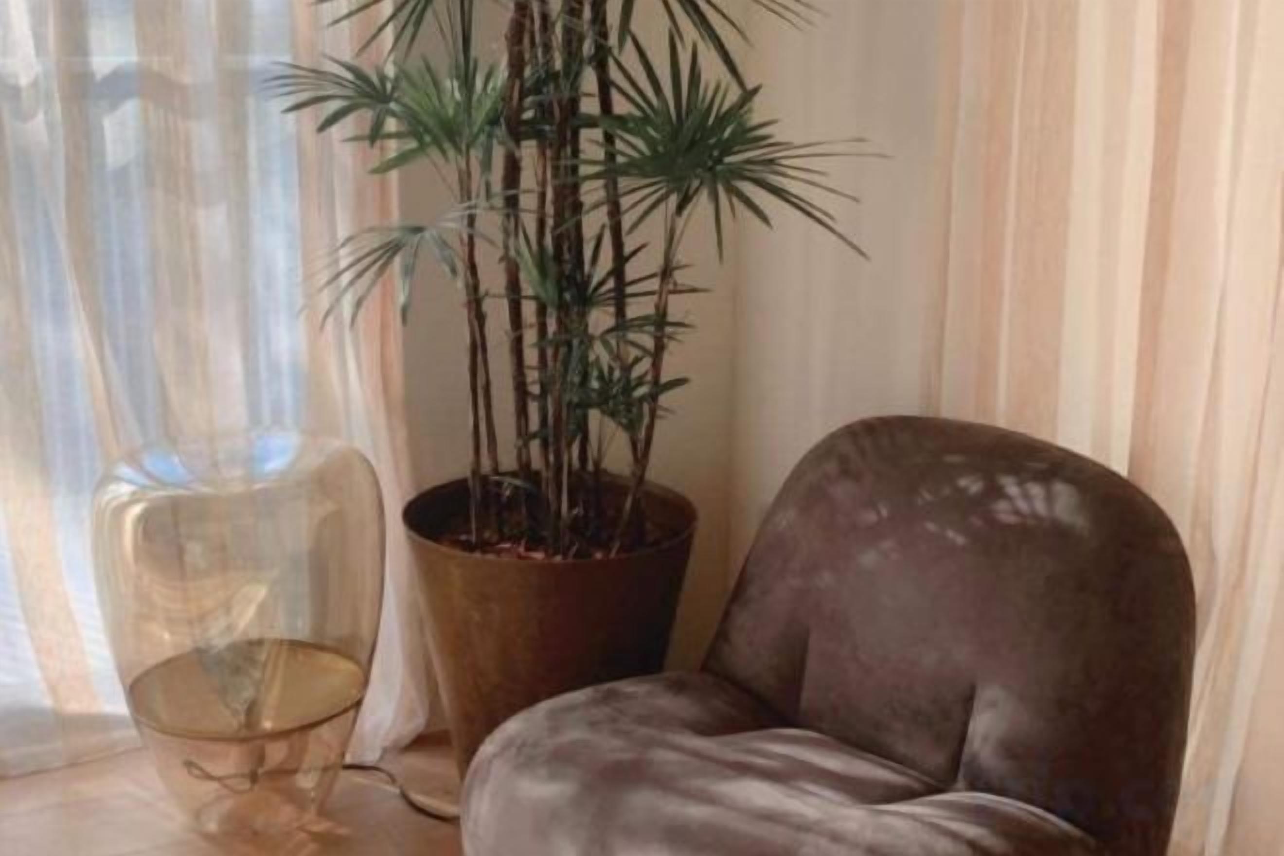 A room with a brown leather chair, a potted plant, and a clear glass chair.