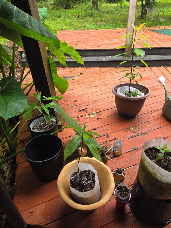 المنطقة المحيطة بالمنشأة