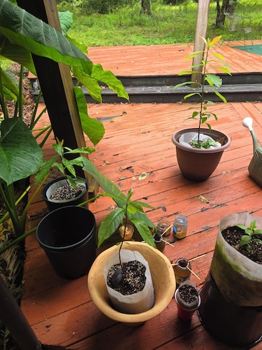 Charming 3-bedroom farmhouse with AC, fitness room in delightful Century