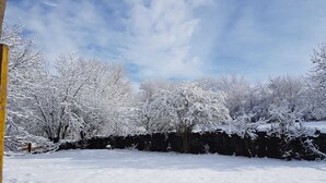 Un paysage enneigé avec des arbres et un mur de pierre.