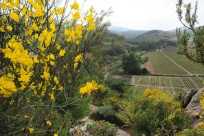 Miscellaneous - Carignan - PLANEZES - Gîte (PLANEZES)