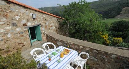 Carignan - PLANEZES - GĂźte