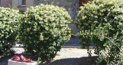 Lou soula - TRILLA - Gîte