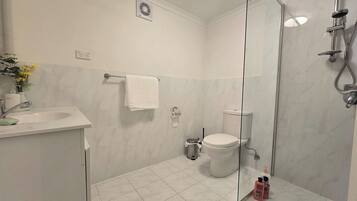 Ein modernes Badezimmer mit Duschkabine aus Glas, einer weißen Toilette und einem Waschbecken mit Spiegel.