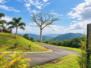A winding road with a large tree in the center, surrounded by greenery and hills in the background. - Campo 5 Retreat W/ Private Climatized Pool (Coamo)