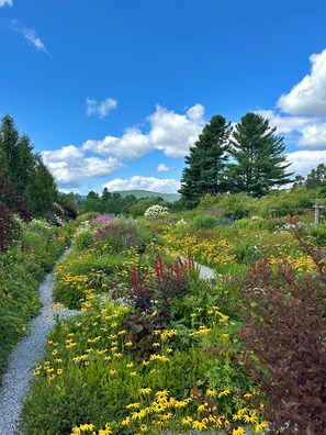 Ein Garten mit Kiesweg, vielfältiger Vegetation und blauem Himmel.