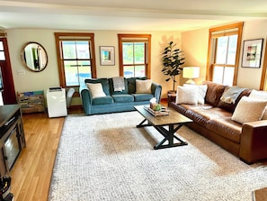 Smart TV, fireplace, books