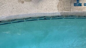 A clear blue pool with a black object floating in the center and two hoses on the pool floor. - Penguins on the Beach | 2BR Steps to Beach & Downtown w/pool | Unit 1 (Cocoa Beach)