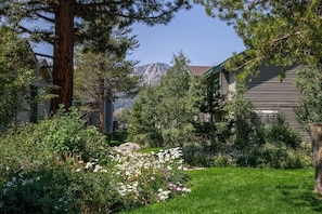 Property grounds - Tranquil & Woodsy 2/2 Retreat – Jacuzzi, W/D, BBQ! (Mammoth Lakes)