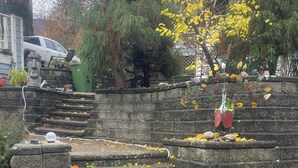 A stone staircase with steps covered in autumn leaves, leading up to a house with a brick facade. - Lakefront Retreat 2 bedroom sleeps 6,  private hot tub and beach. (Nelson)