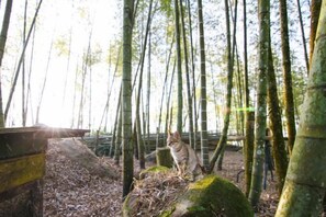 Overnattingsstedets uteområder