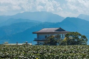 Interior - Alishan Sunrise B&B (Chiayi County)