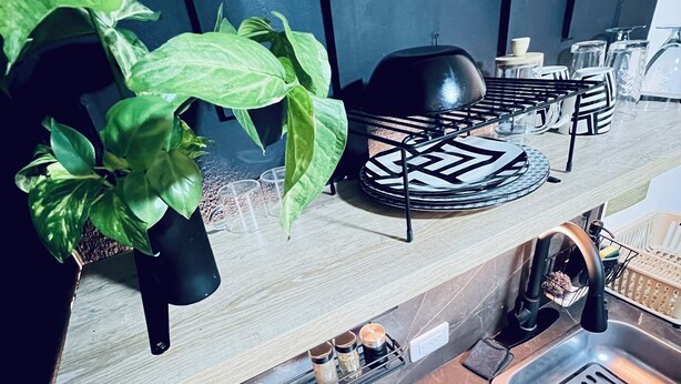 Una cocina con estufa a gas, un lavamanos, una planta y varios utensilios de cocina sobre la encimera.