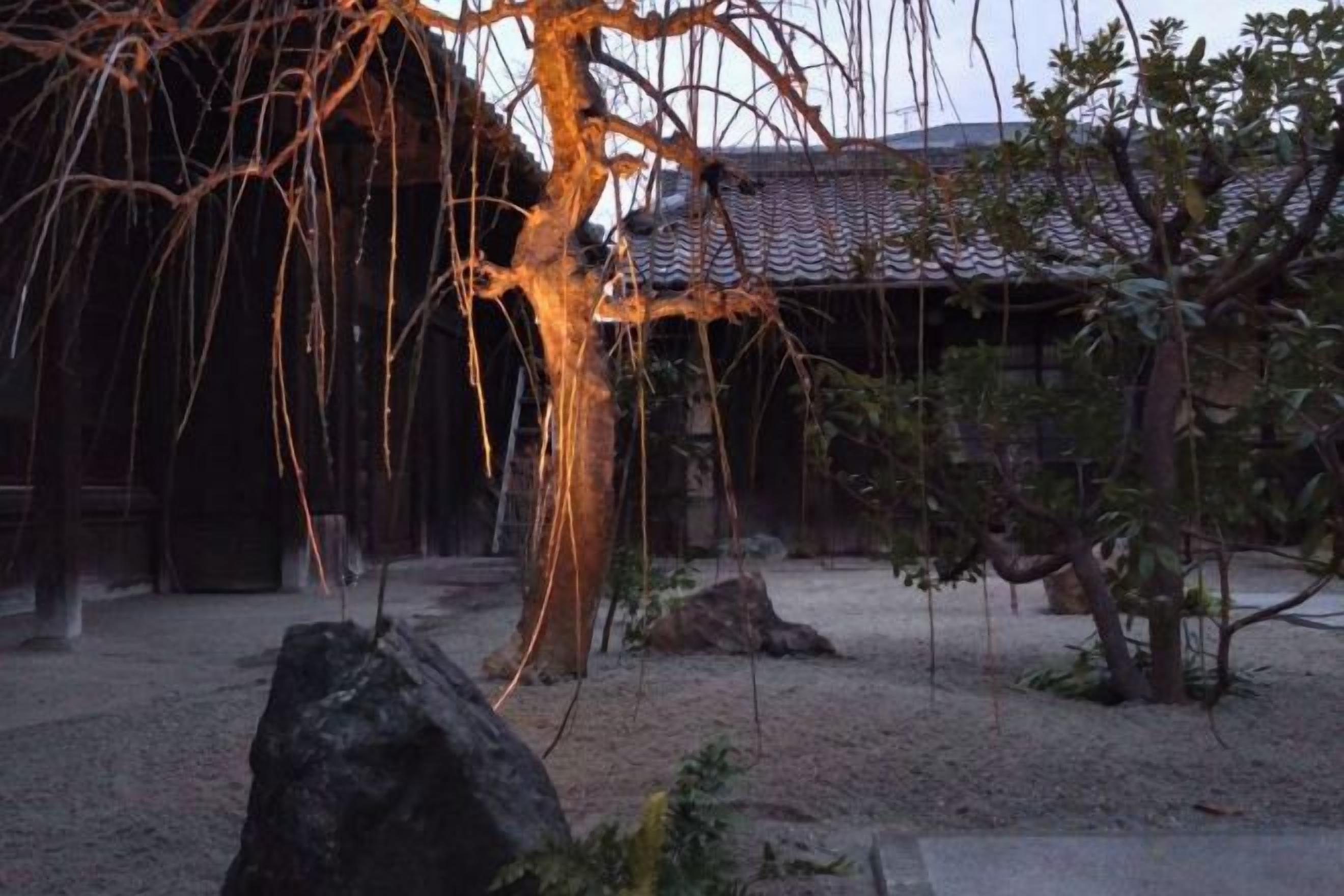 Ein traditioneller japanischer Garten mit einem großen Felsen, einem Baum mit hängenden Ästen und einem Gebäude im Hintergrund.